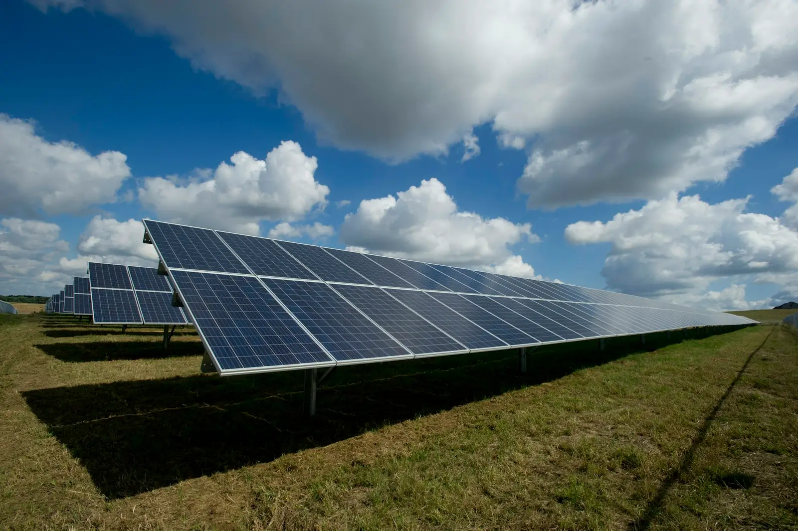 Rows of solar photovoltaic panels under a blue sky